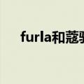 furla和蔻驰（furla和coach哪个高档）
