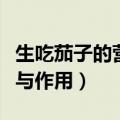 生吃茄子的营养价值和功效（生吃茄子的功效与作用）