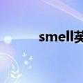smell英语是什么意思（smelly）