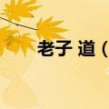 老子 道（老子道的最高境界是什么）