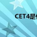 CET4是什么的缩写（cet4是什么）