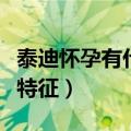 泰迪怀孕有什么特征和表现（泰迪怀孕有什么特征）