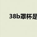 38b罩杯是多大（b罩杯多大什么手感）