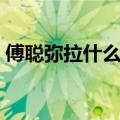 傅聪弥拉什么时候结婚（傅聪妻子弥拉现状）