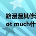 路漫漫其修远兮吾将上下而求索什么意思（not much什么意思）