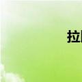 拉比labei（拉比盒子）