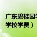 广东碧桂园学校学费(北窖学校)（广东碧桂园学校学费）