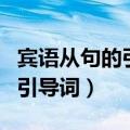 宾语从句的引导词用英语怎么说（宾语从句的引导词）