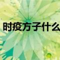 时疫方子什么时候被发现是温太医的（时疫）