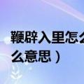 鞭辟入里怎么读音是什么意思（鞭辟入里是什么意思）