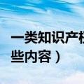 一类知识产权包括哪些内容（知识产权包括哪些内容）