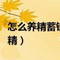 怎么养精蓄锐呢年轻人怎么修身养性（怎么养精）