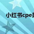 小红书cpe是什么意思（cpe是什么意思）