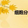 细胞分裂4修改器（细胞分裂4）