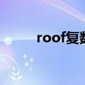 roof复数形式是什么（roof复数）