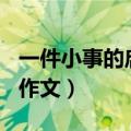 一件小事的启示作文300字（一件小事的启示作文）