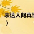 表达人间真情格言的诗句（表达人间真情格言）