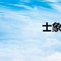 士象全守和马兵（士象全）
