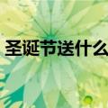圣诞节送什么给男友（圣诞送什么给男朋友）