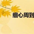 细心周到的近义词（周到的近义词）