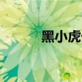 黑小虎外传 蓝兔（黑小虎外传）