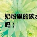 奶粉里的碳水化合物是糖吗（碳水化合物是糖吗）