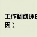 工作调动理由及原因范文（工作调动理由及原因）