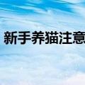 新手养猫注意事项冬季（新手养猫注意事项）