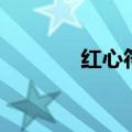 红心符号可复制（红心符号）