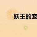 妖王的宠姬全文阅读（妖王的宠姬）