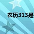农历313是什么星座（3 13是什么星座）
