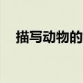 描写动物的好句50字（描写动物的好句）