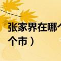 张家界在哪个省哪个市区（张家界在哪个省哪个市）