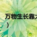万物生长靠太阳是什么意思（万物生长靠太阳）