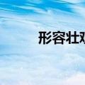 形容壮观震撼的成语（撼的成语）