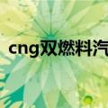 cng双燃料汽车动力不足（cng双燃料汽车）