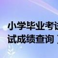 小学毕业考试成绩查询官网网址（小学毕业考试成绩查询）