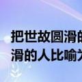 把世故圆滑的人比喻为什么惯用语（把世故圆滑的人比喻为）