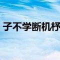 子不学断机杼中的子指的是（子不学断机杼）