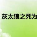 灰太狼之死为什么没了（其实灰太狼早死了）
