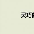 灵巧的反义词（巧的反义词）