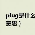 plug是什么意思中文（无人机上plug是什么意思）