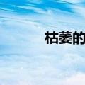 枯萎的反义词（枯萎的近义词）