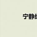 宁静结过婚（宁静结婚了吗）