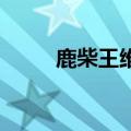 鹿柴王维空山不见人（鹿柴 王维）