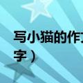 写小猫的作文400字左右（写小猫的作文400字）