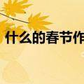 什么的春节作文300字三年级（什么的春节）