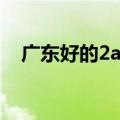 广东好的2a学校排名（广东2a学校排名）