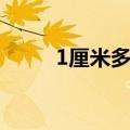 1厘米多长图片实物（1厘米多长）