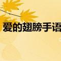 爱的翅膀手语分解动作（爱的翅膀手语视频）